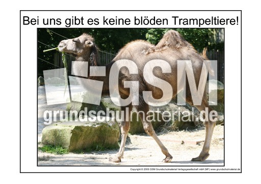 Blödes-Trampeltier-1.pdf